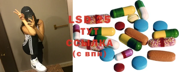 индика Баксан