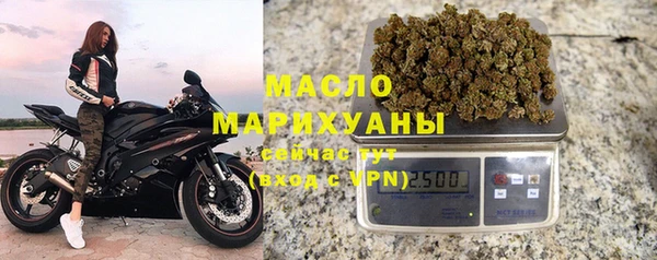 индика Баксан