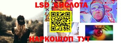 меф Кингисепп